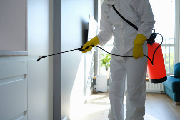 Crawl Space Mold Removal in Royal Palm Estates, FL