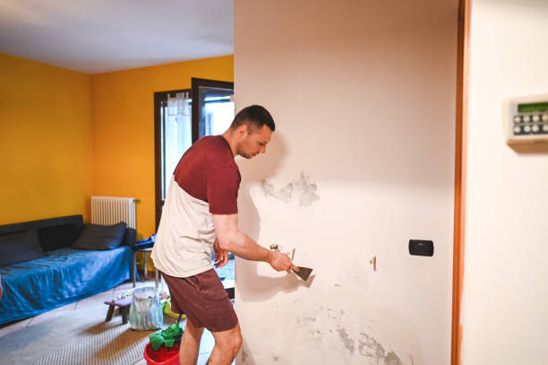 Best Residential Mold Removal  in Royal Palm Estates, FL